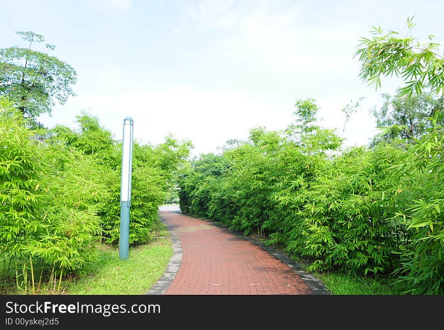 Red Brick Path  In Bamboos