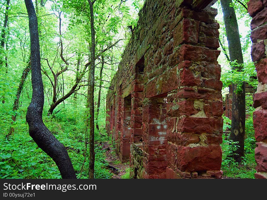 An abandoned building in a lush green forest. An abandoned building in a lush green forest.