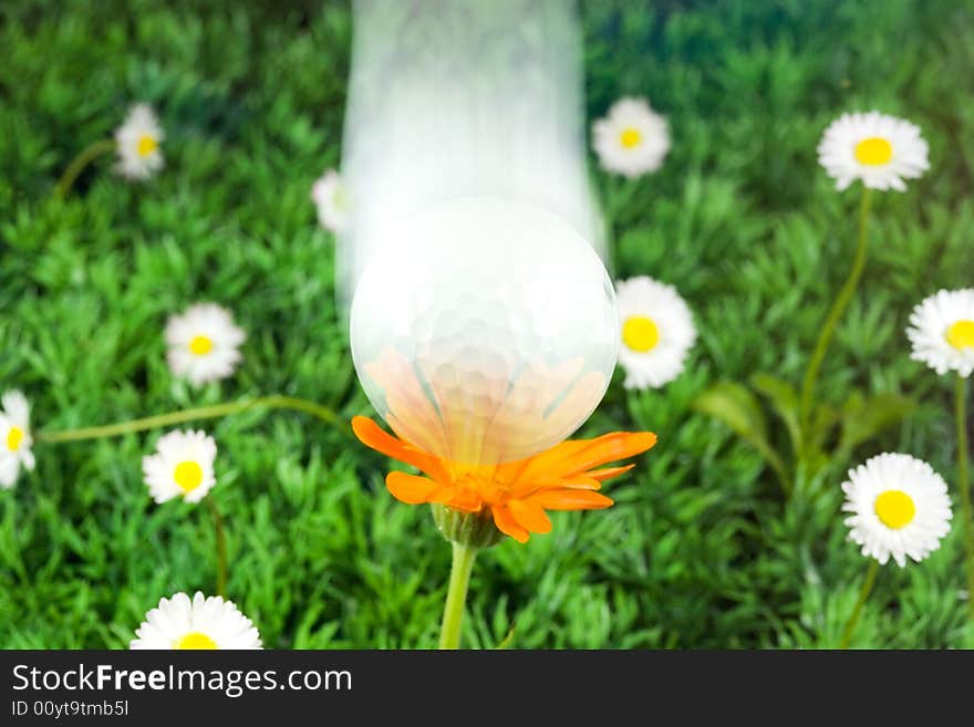 Flying golf ball over flowers and grass. Flying golf ball over flowers and grass.