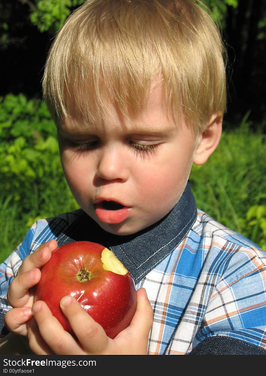 The little boy with concentration eats an apple. The little boy with concentration eats an apple