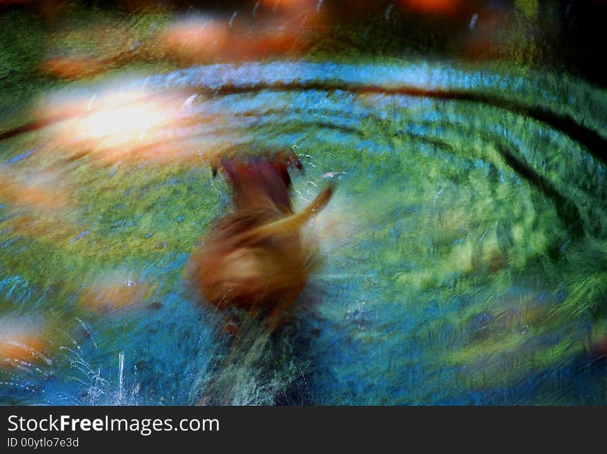 A dog taking a psychedelic swim.