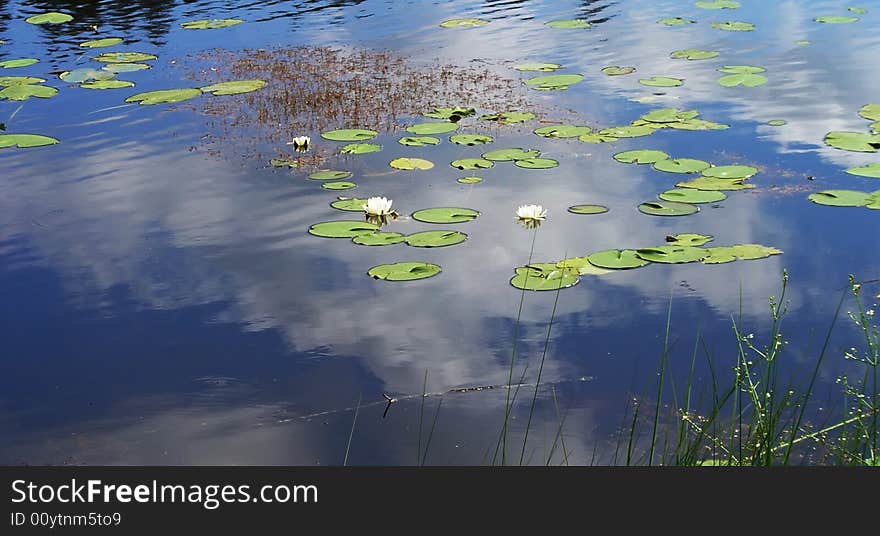 Perfect lake in one of Scandinavian countries