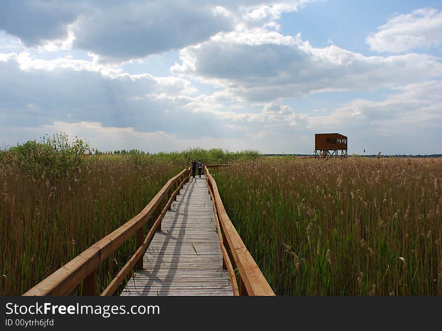 Bird Observation Station