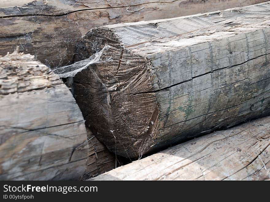 Old Logs