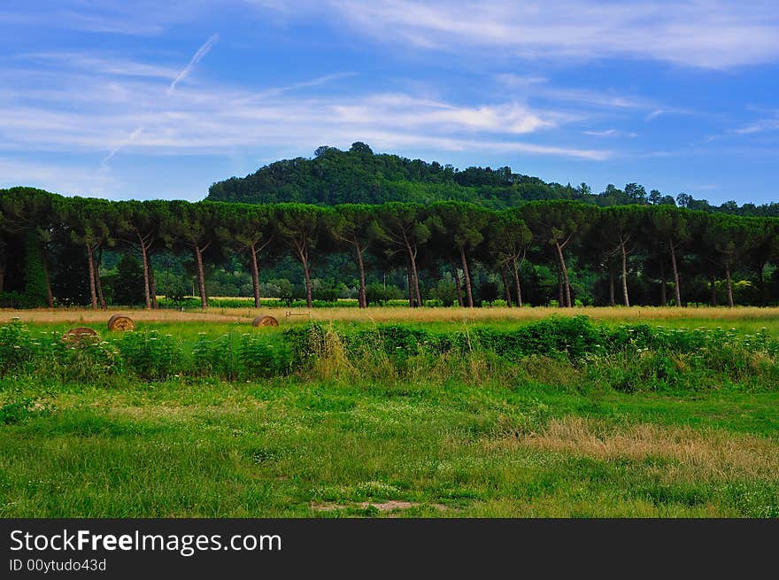 Typical Roman Countryside - 2