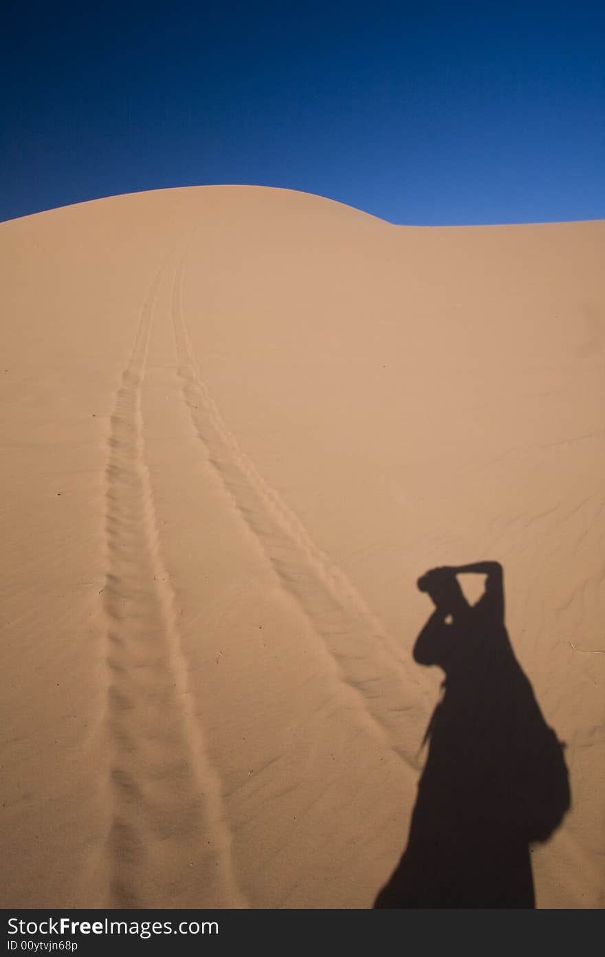 Utah Sand Dunes Photographer