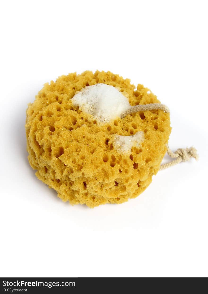 A natural wild sponge with foam on a white background