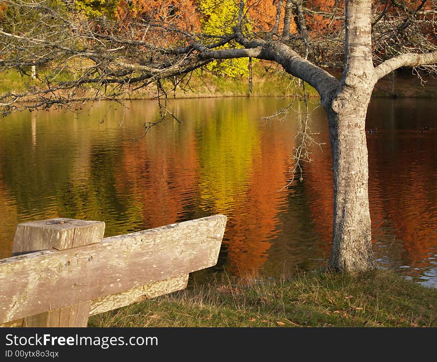 Peaceful autumn colours