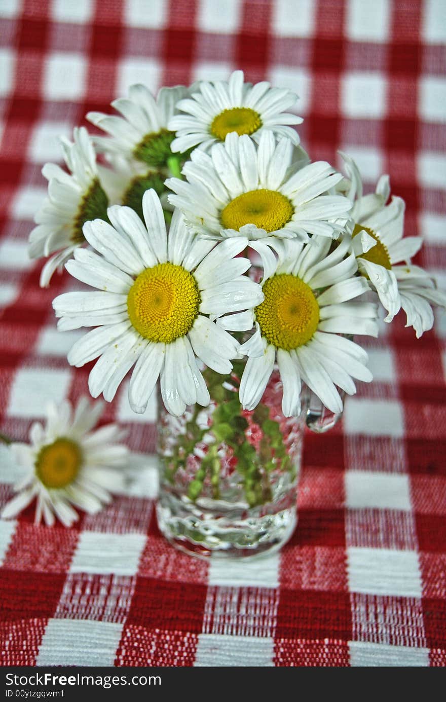 Wild Daisy Bouquet