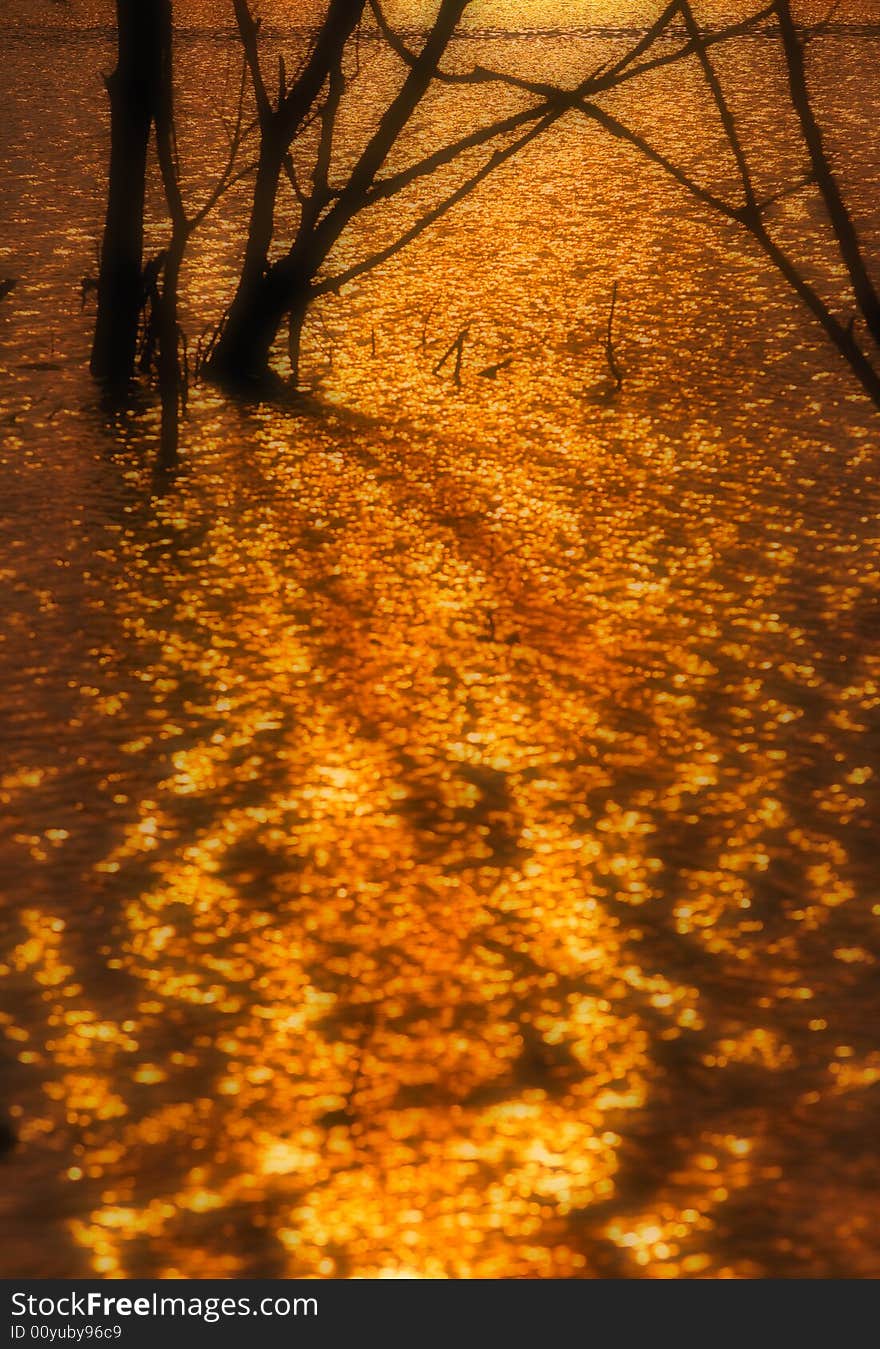 Water reflections of the evening sun