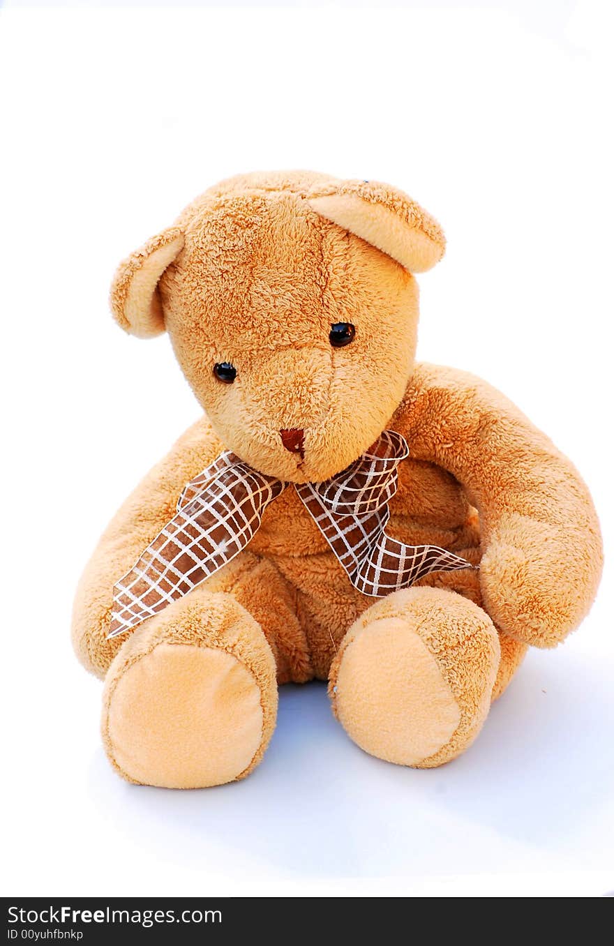 Shot of a teddy bear isolated on white