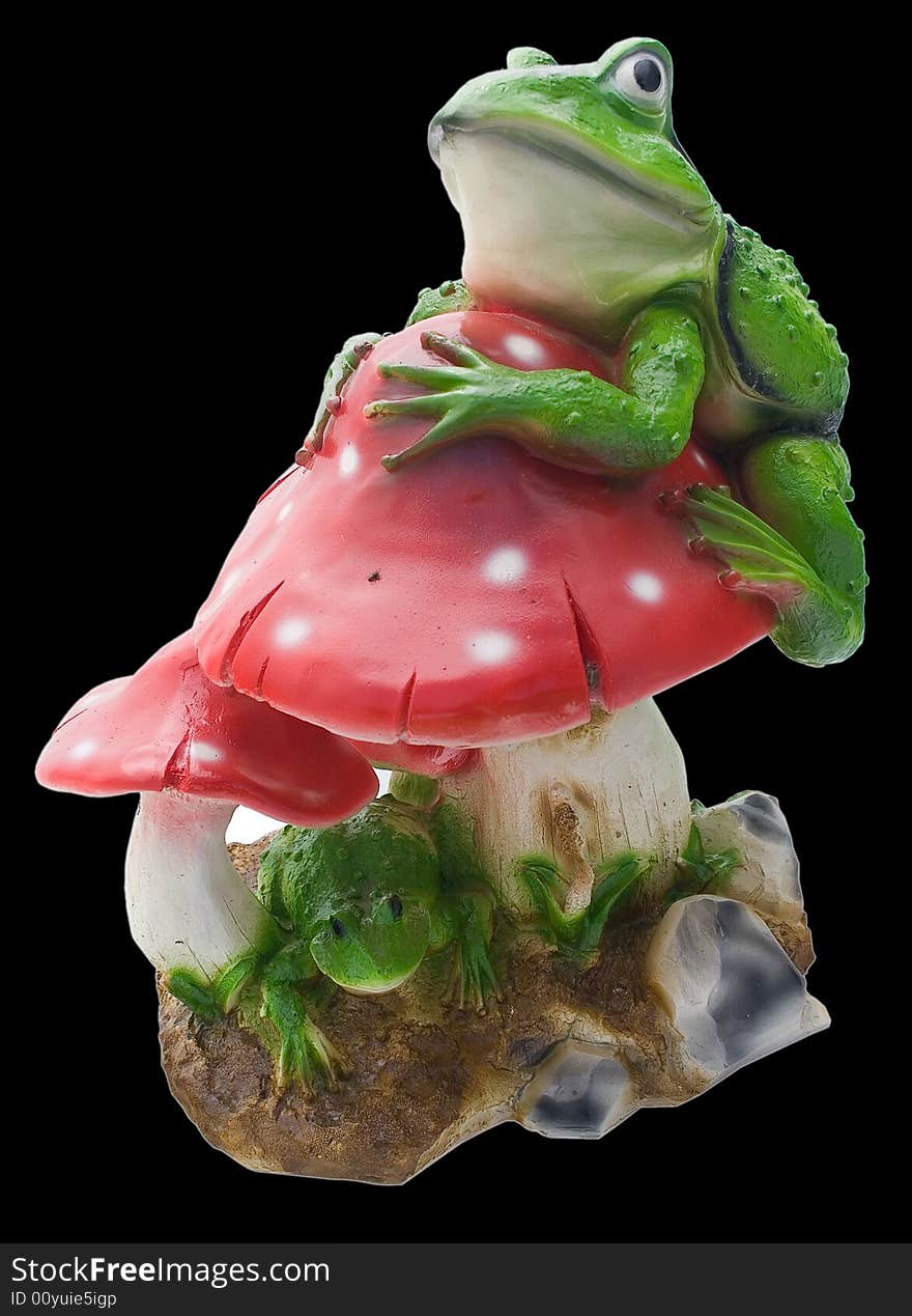 The Green Frog On A  Fly Agaric