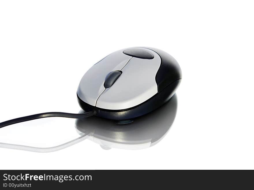 Computer mouse isolated on white