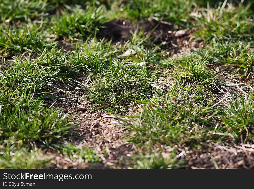 Green grass on the stadium after the game. Green grass on the stadium after the game.