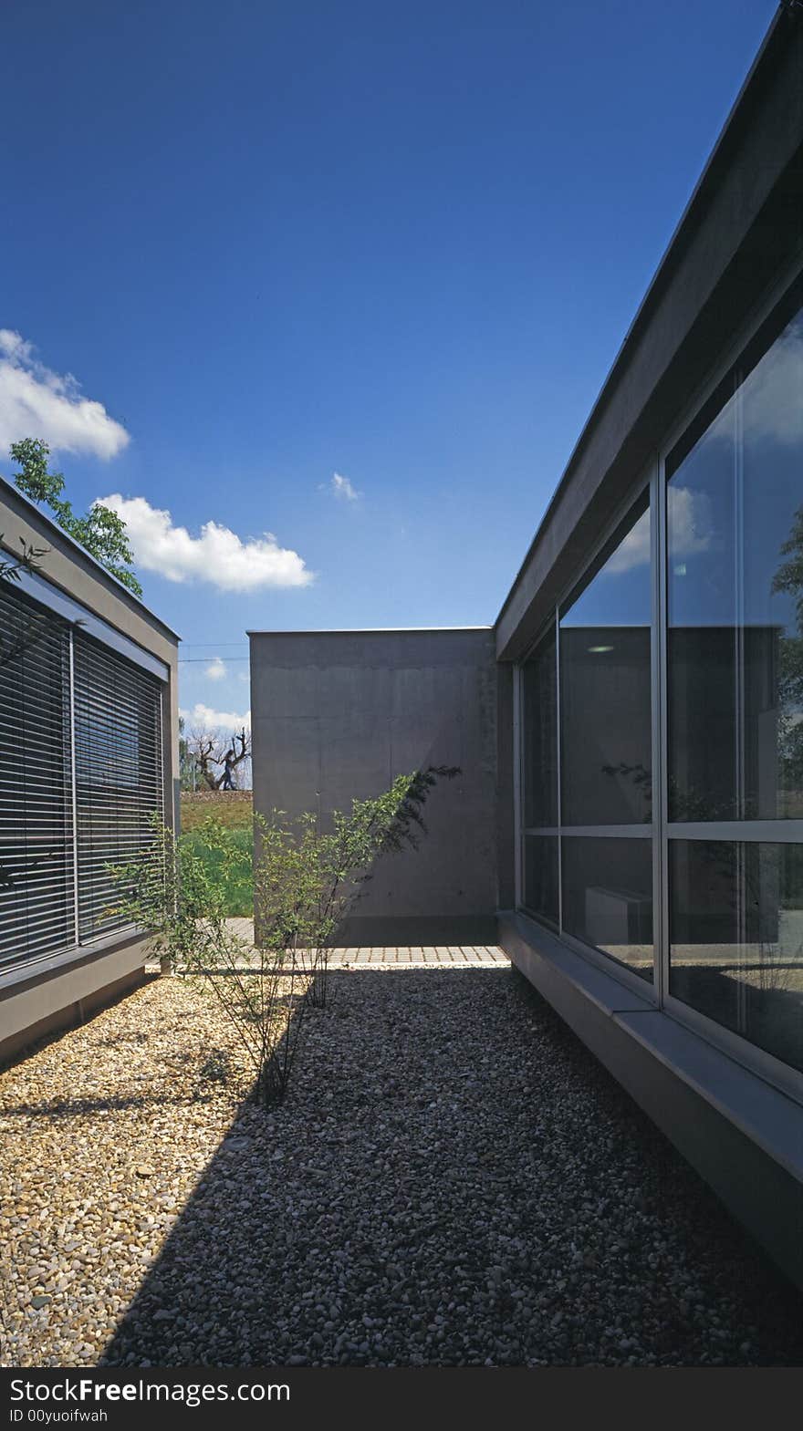 Patio in a modern office building. Patio in a modern office building