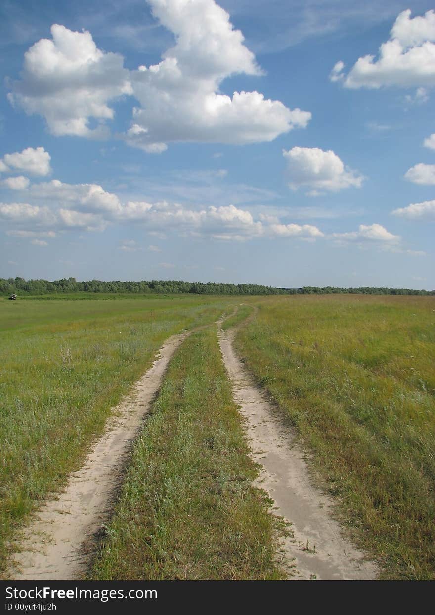 Green grass on a background of the blue sky