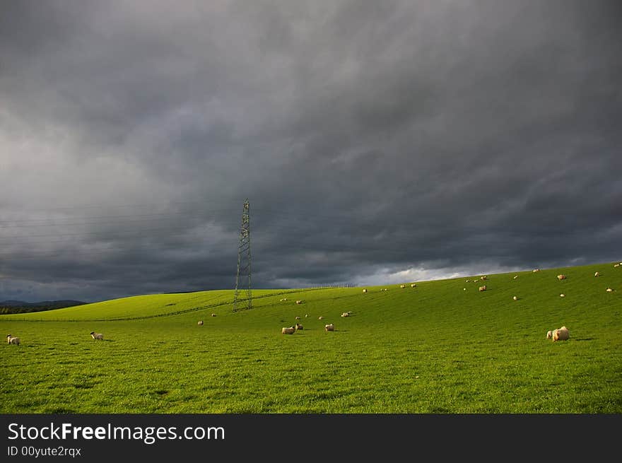 Green fields with power cable