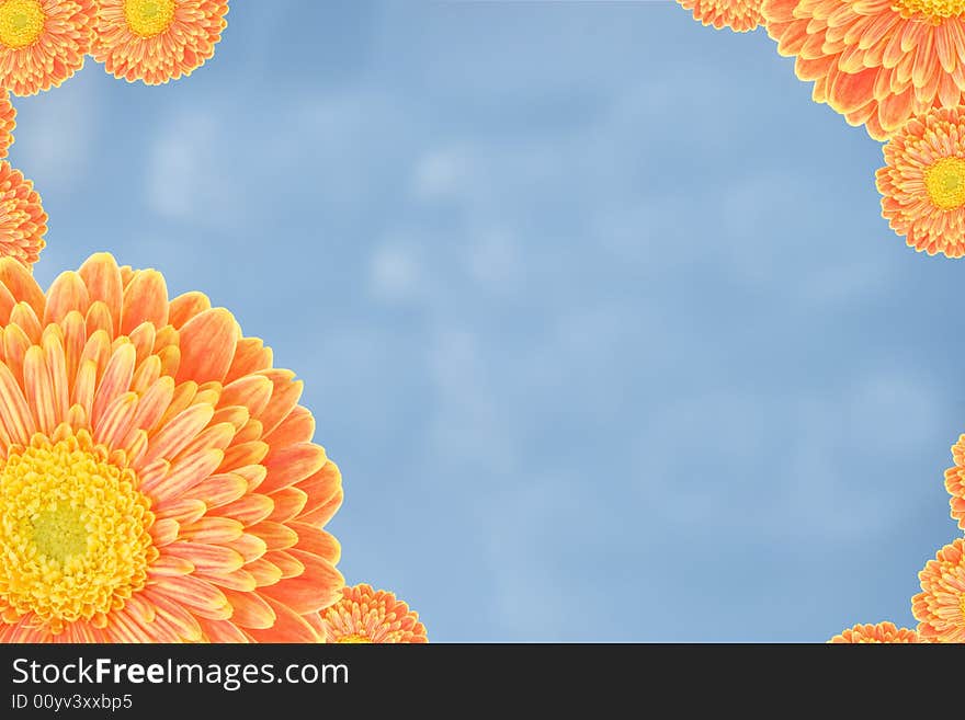 Frame made from colorful flowers with a blue sky background. Frame made from colorful flowers with a blue sky background