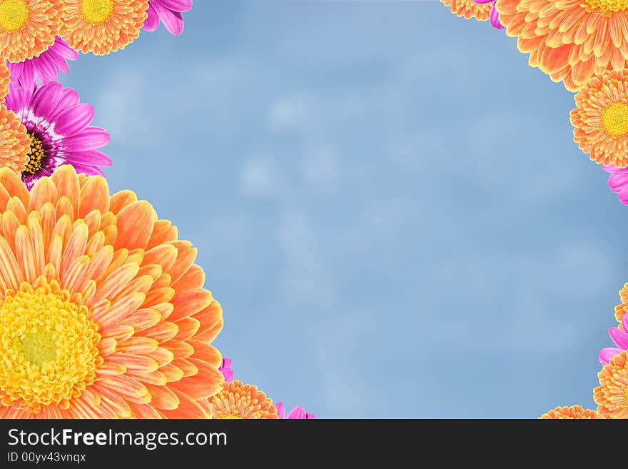 Frame made from two kinds ofcolorful flowers with a blue sky background. Frame made from two kinds ofcolorful flowers with a blue sky background