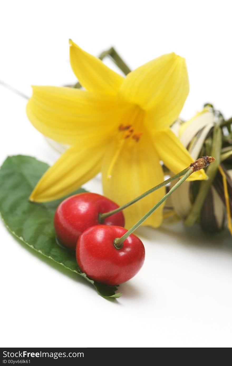 Close up view of red fresh cherry and yellow flower on white background.