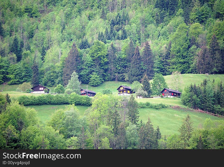 Houses in forest, Mount titlis