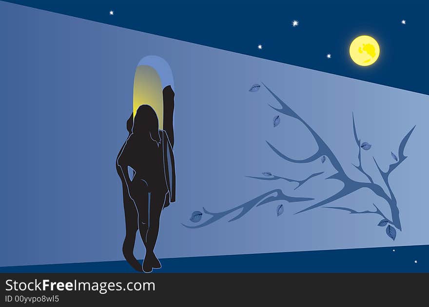 Silhouette of the girl at a wall a moonlight night