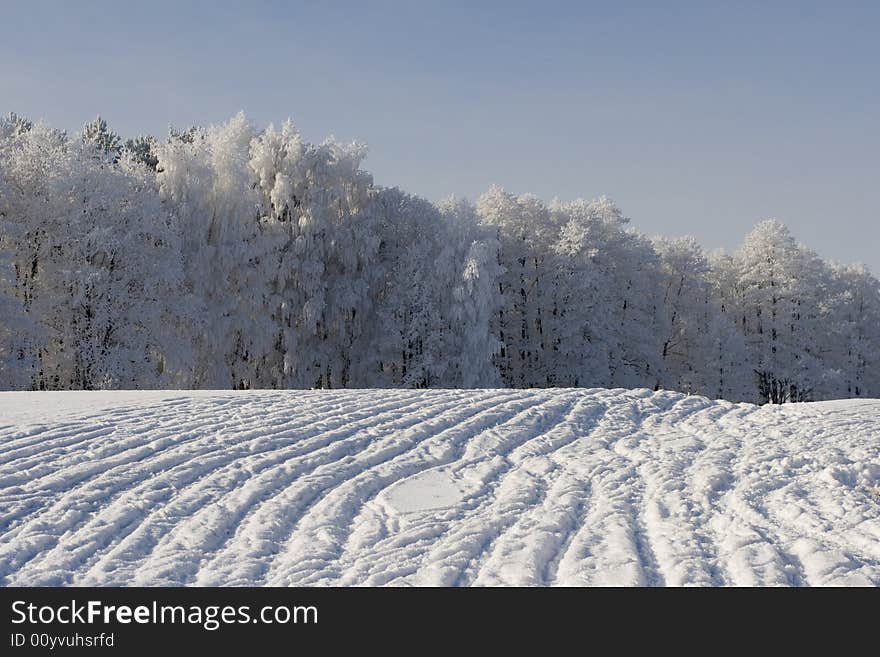 Sunny winter landscape on a beautiful day.