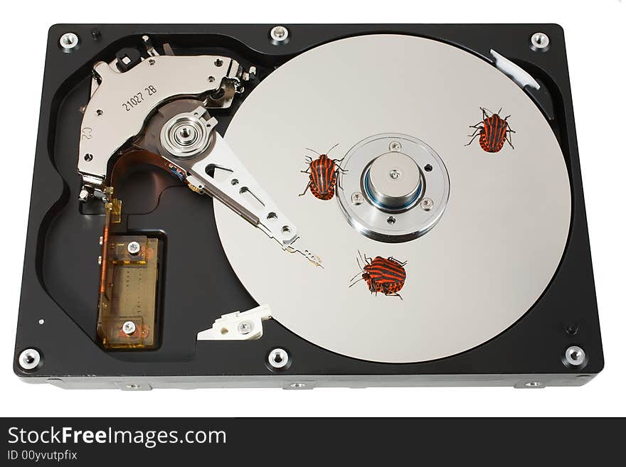 The open hard disk with three bugs. �oncept of information errors. Isolated on white. The open hard disk with three bugs. �oncept of information errors. Isolated on white.