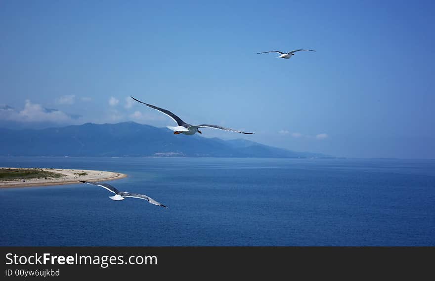 Summer sky, blue ocean and flying seagulls in Greece