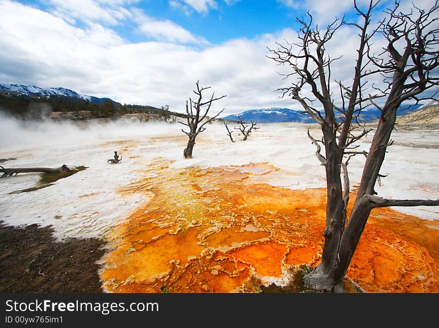 Canary Terraces, Yellowstone