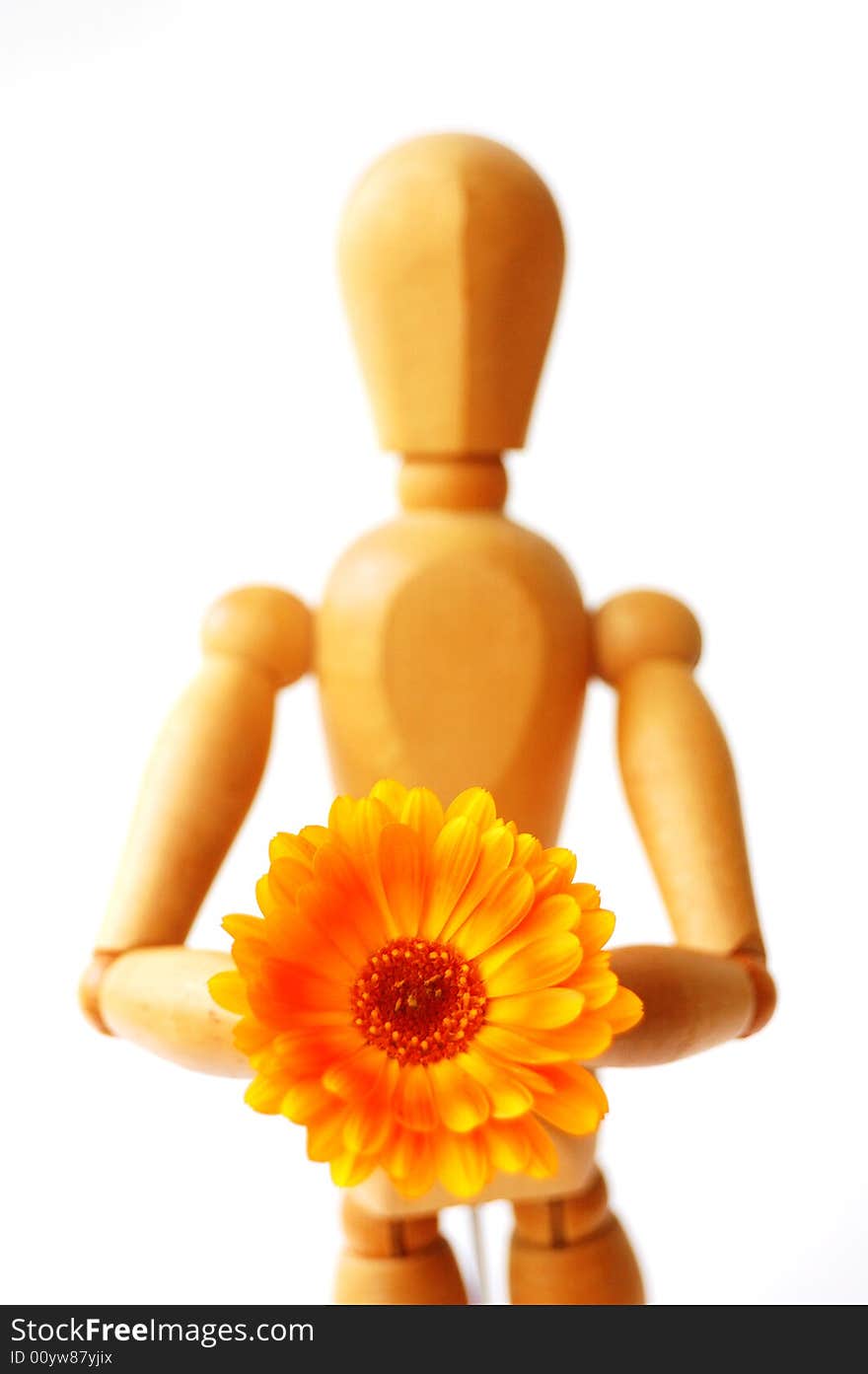 Wooden puppet with flower isolated on white, holding flower. Wooden puppet with flower isolated on white, holding flower