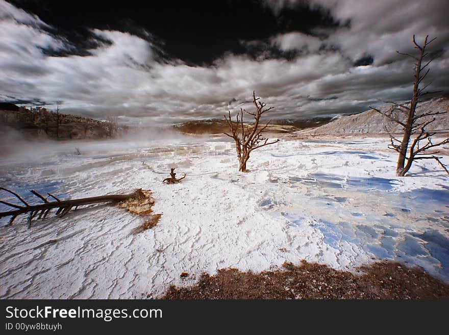 The Canary Spring Terraces of Yellowstone National Park, Wyoming, in false-color infrared. The Canary Spring Terraces of Yellowstone National Park, Wyoming, in false-color infrared.