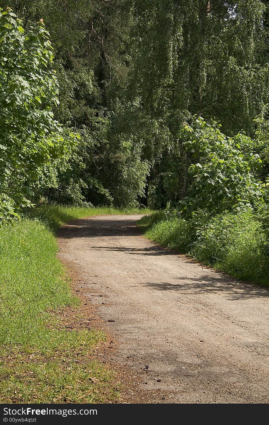 Wet road to a wood