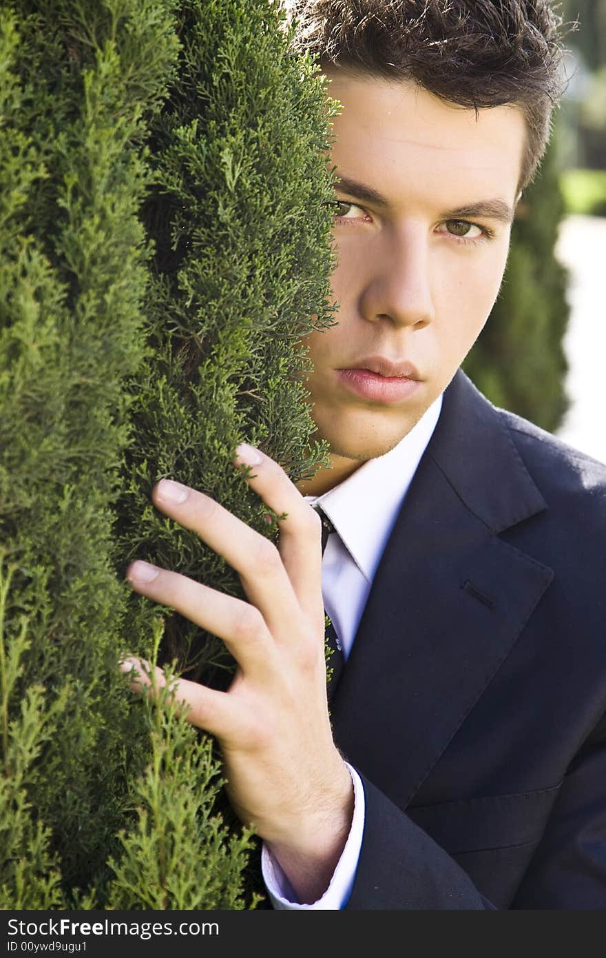 Businessman Portrait Behind Bush