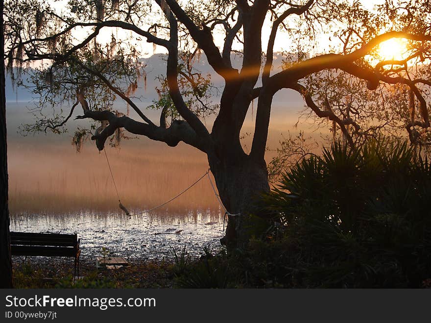 Misty Morning