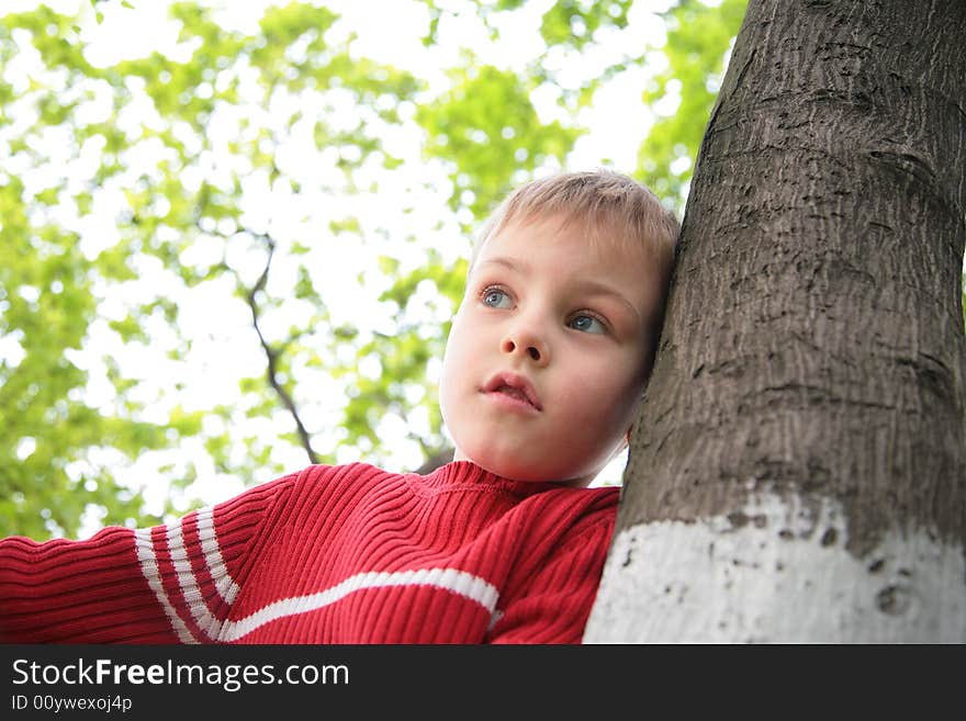 Boy and tree