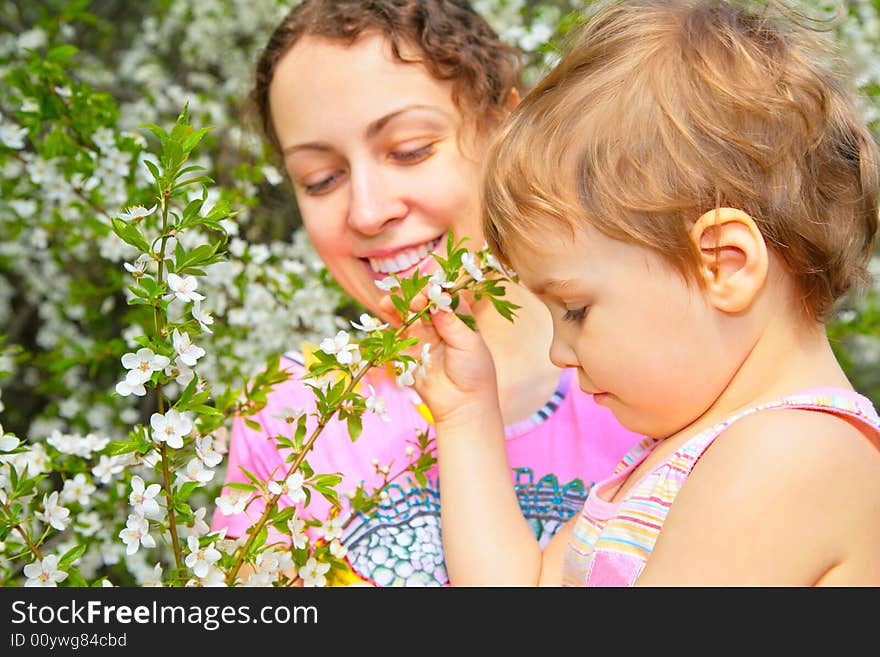 Mother and daughter look on a blossom cherry