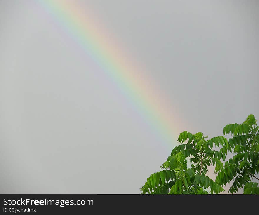 Rainbow after the rain with gray sky