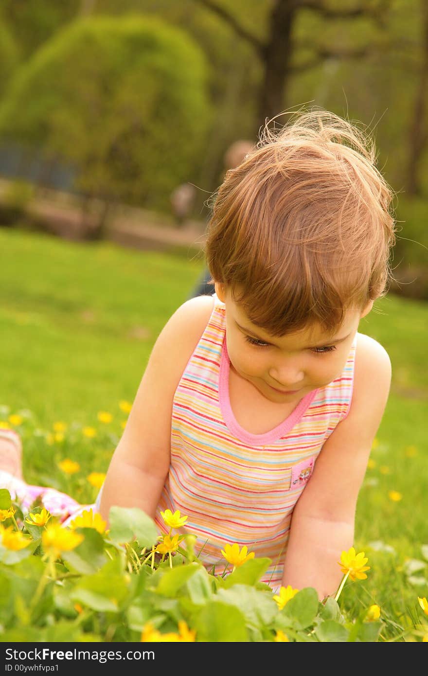 Little girl looks on a yellow flower on lawn