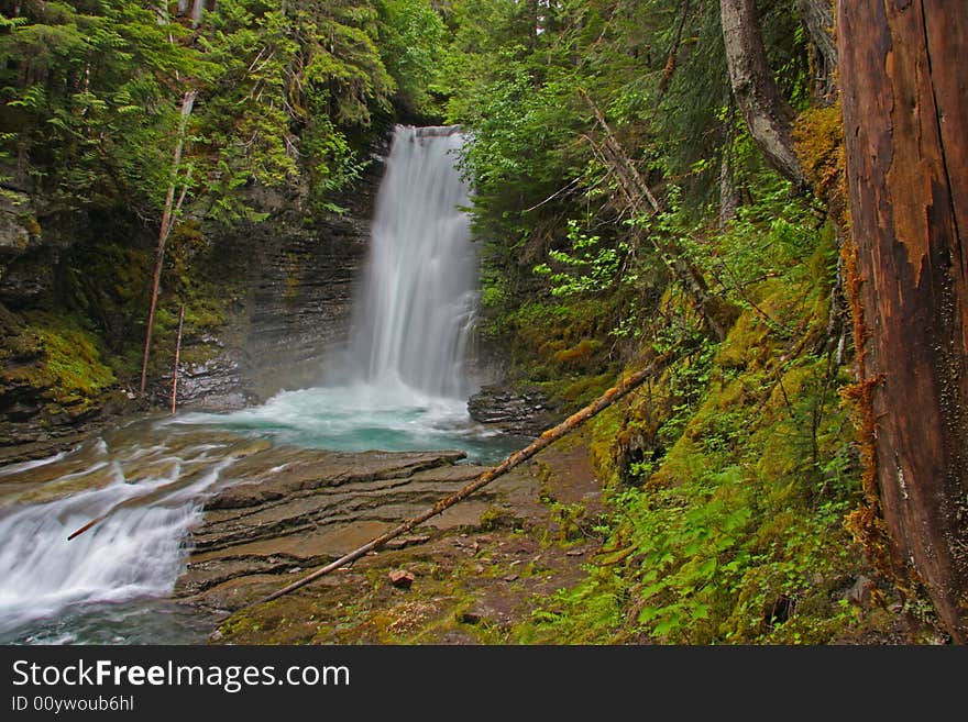 Scenic waterfall in to a pool in lush forest