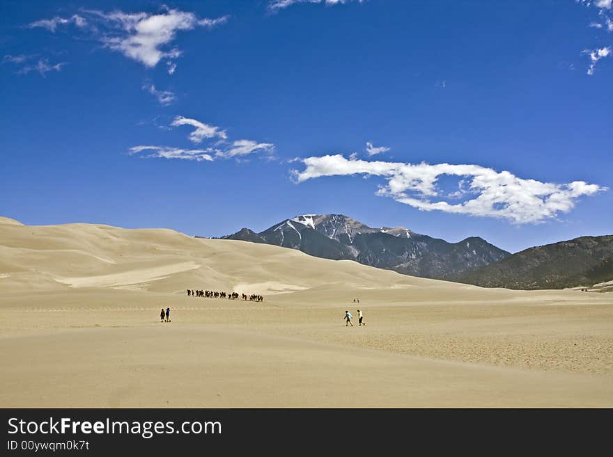 Caravan of tourists