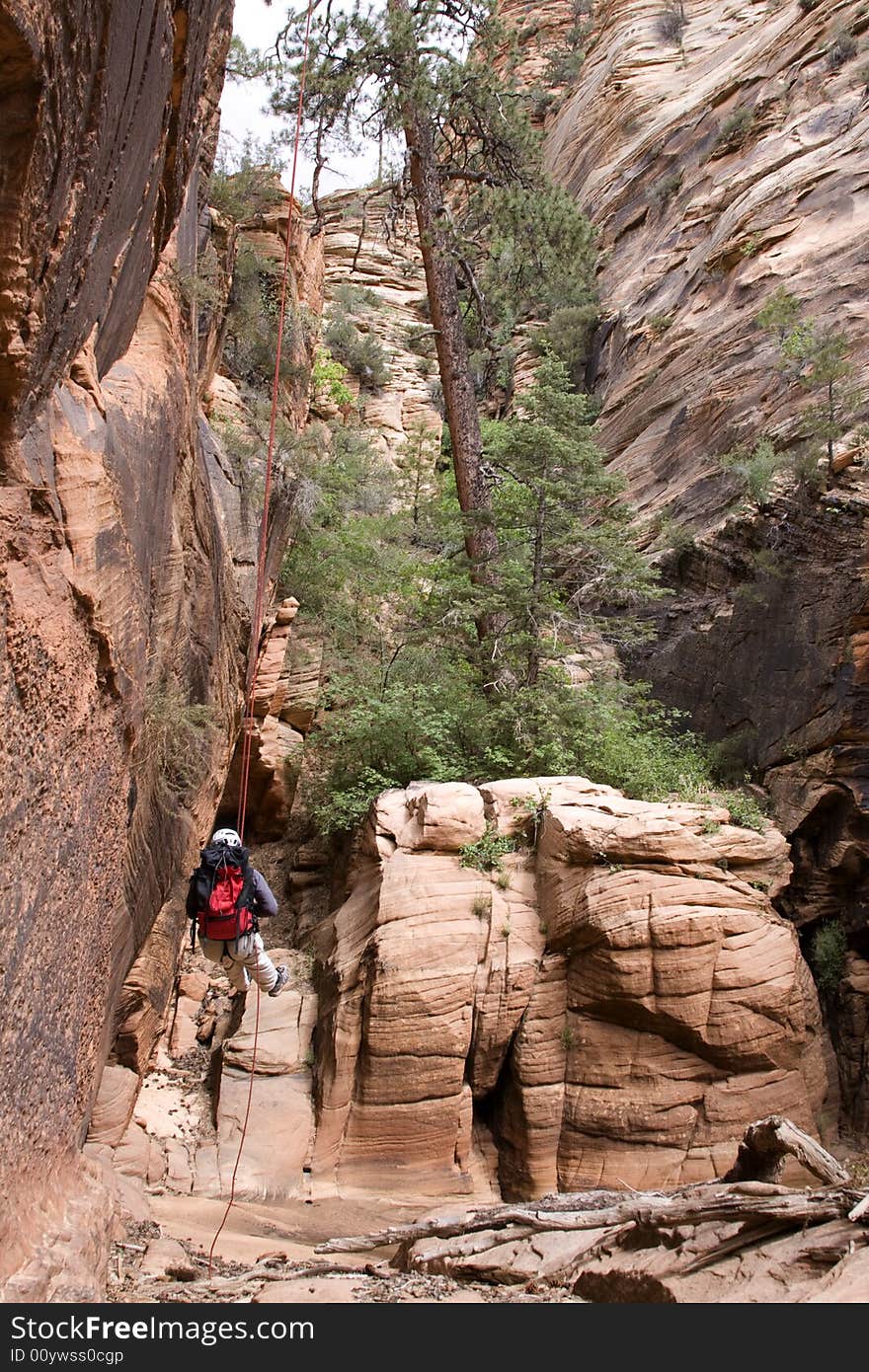 A canyon explorer repelling near Zion National Park, Utah. A canyon explorer repelling near Zion National Park, Utah.