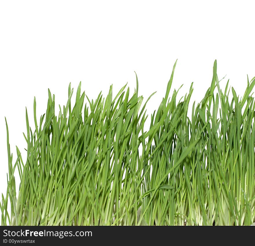 Green glass isolated on the white background