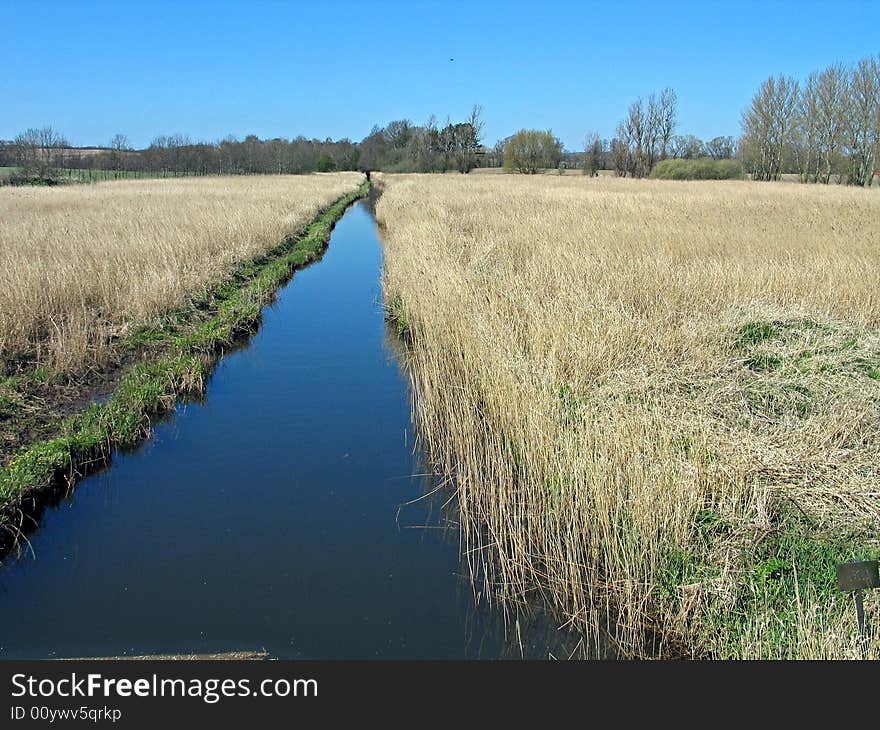 Small river stream