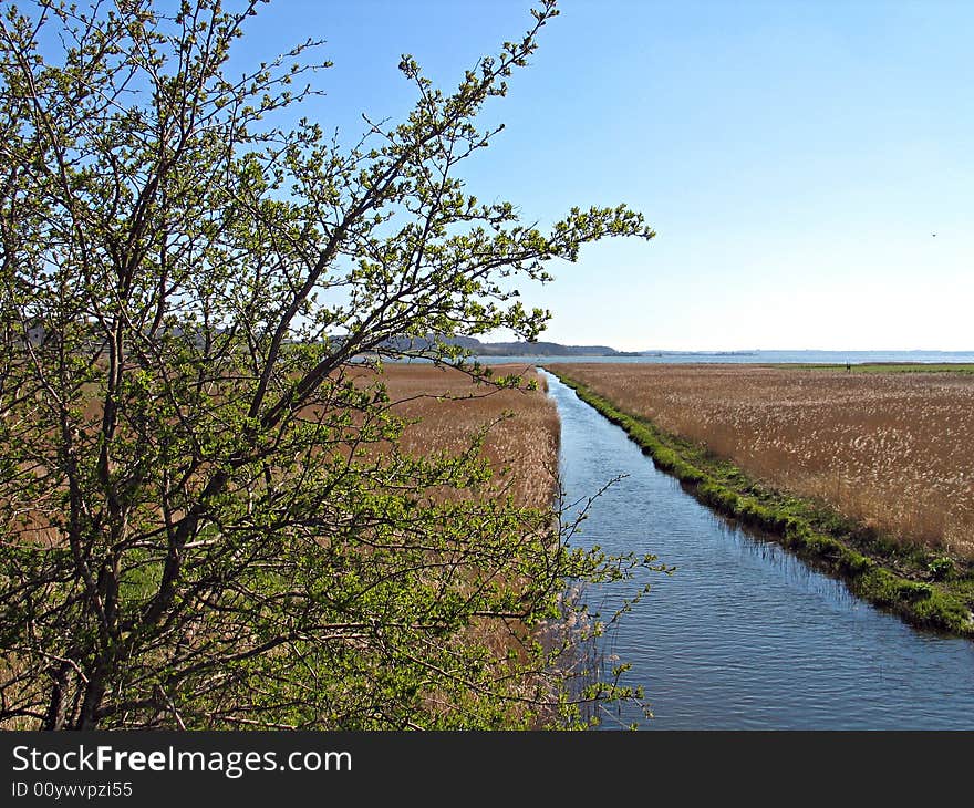 Small River Stream Flows Into The Sea