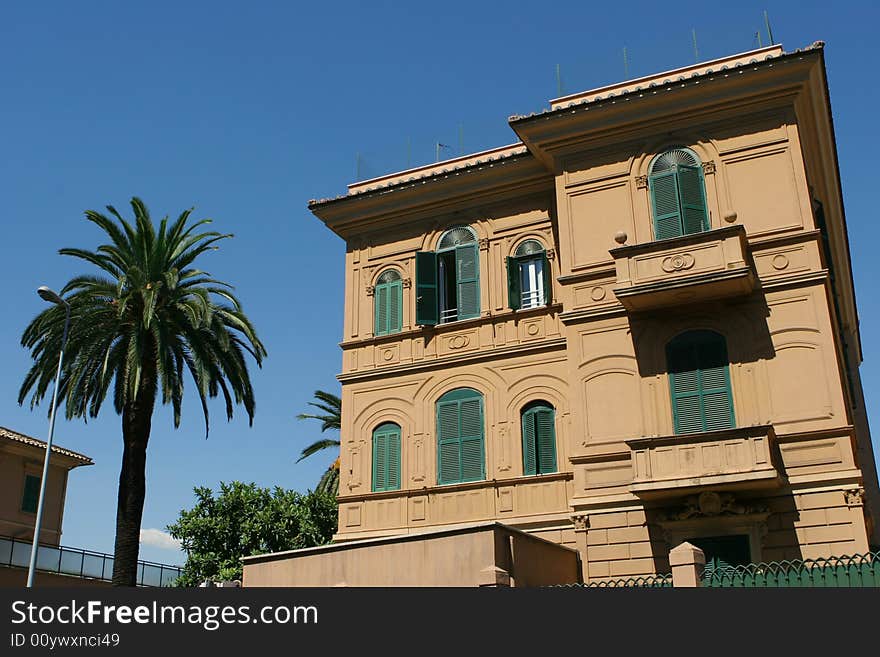 South house with a palm tree