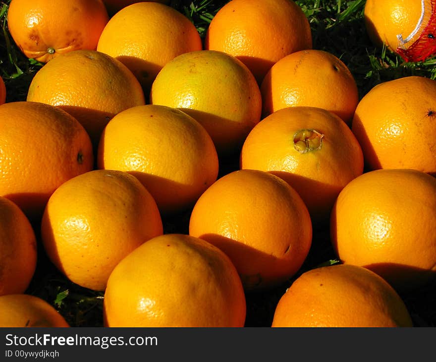 Close-up the ripe oranges