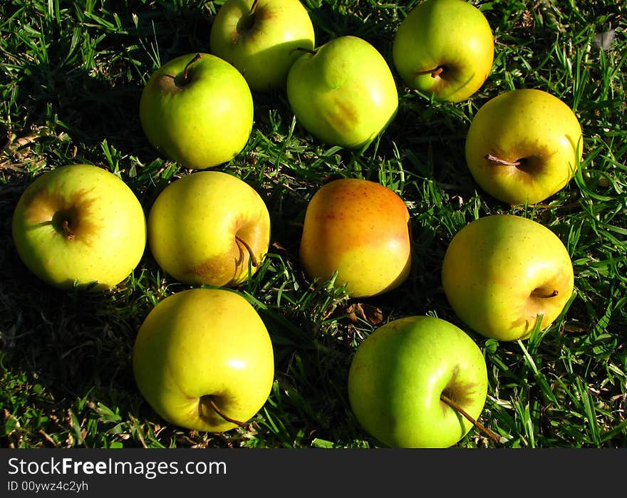 The ripe apples on grass