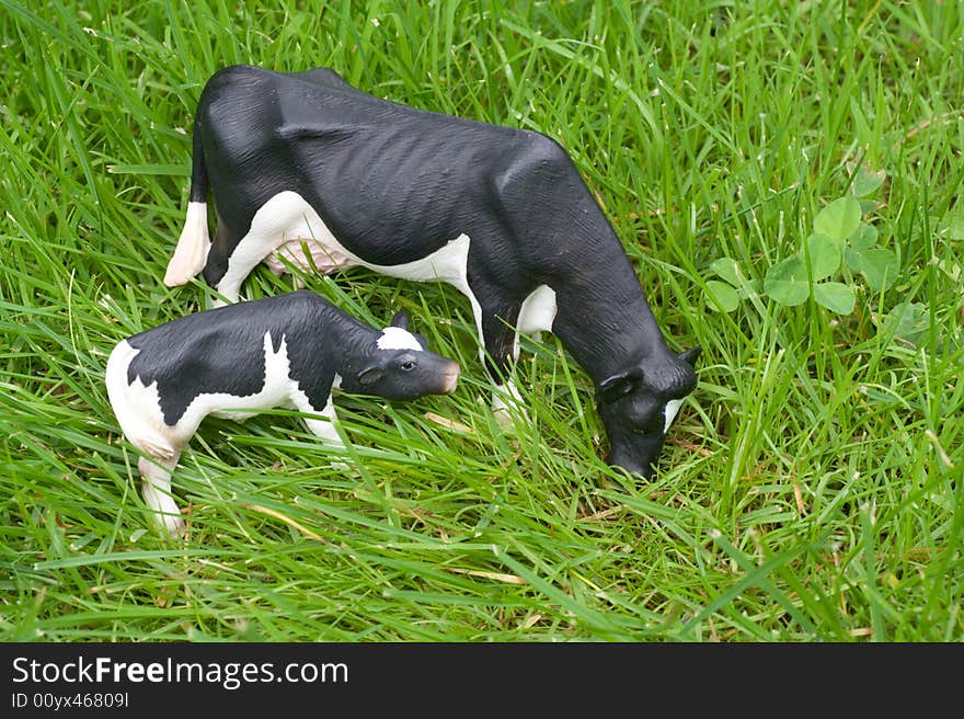 Cow and Calf in a meadow