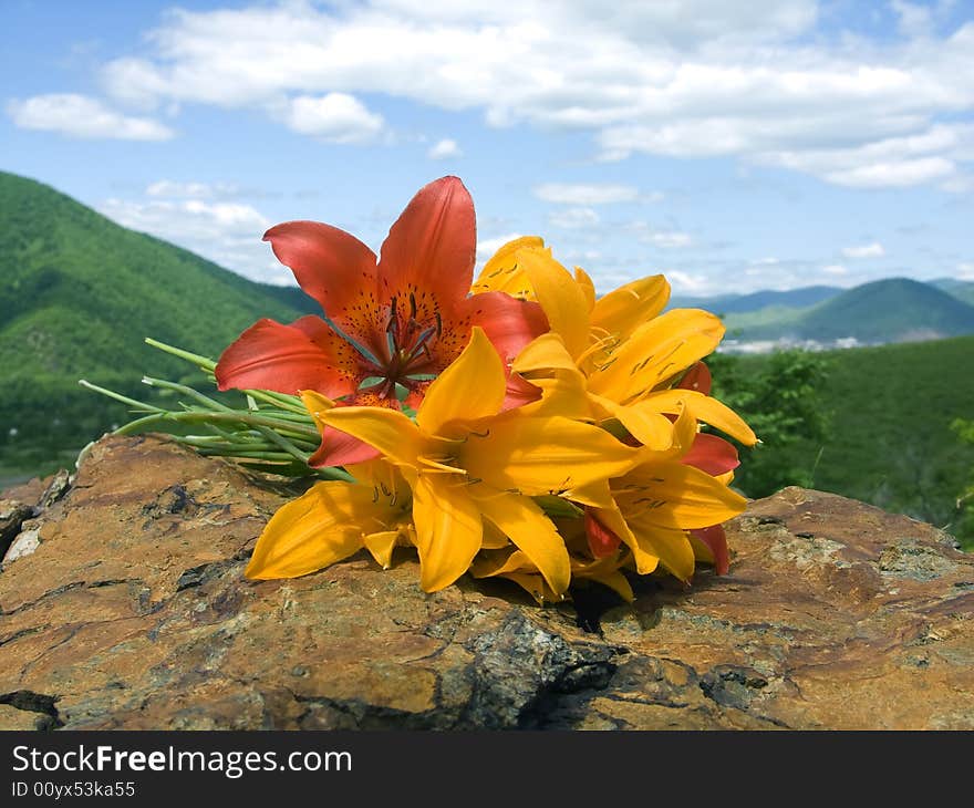 bouquet lily rests upon stone